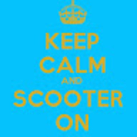 Meet your Posher, Drayden - Picture 1 of 1